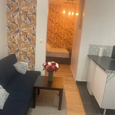 Appartement Paris פריז