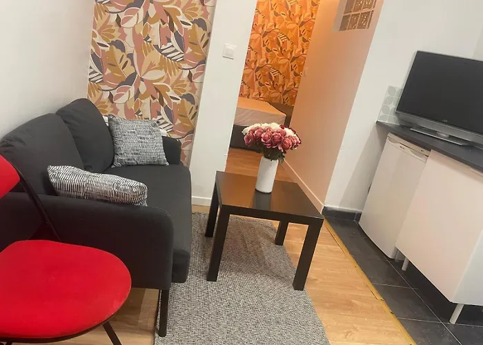 Appartement Paris 公寓 *